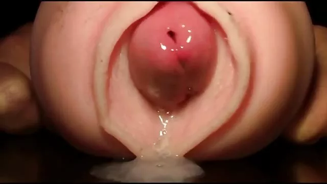 莱利害羞的怪胎的鸡巴与饼性竞争