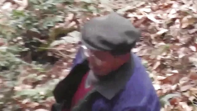 非洲人妖的拇指树林森林，布鲁克林色情服务的